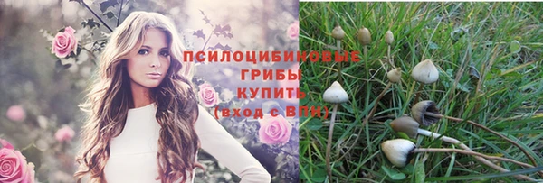 скорость Абаза