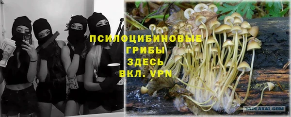 скорость Абаза